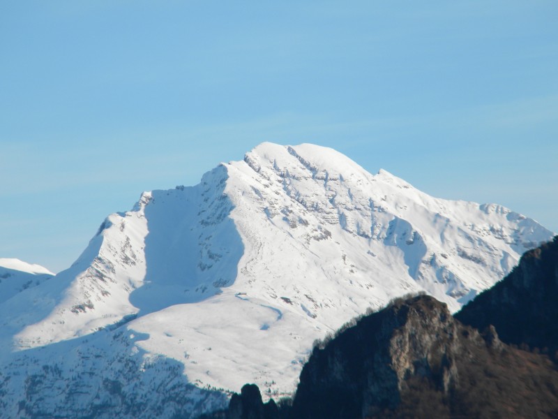 montie con parrucca nevosa